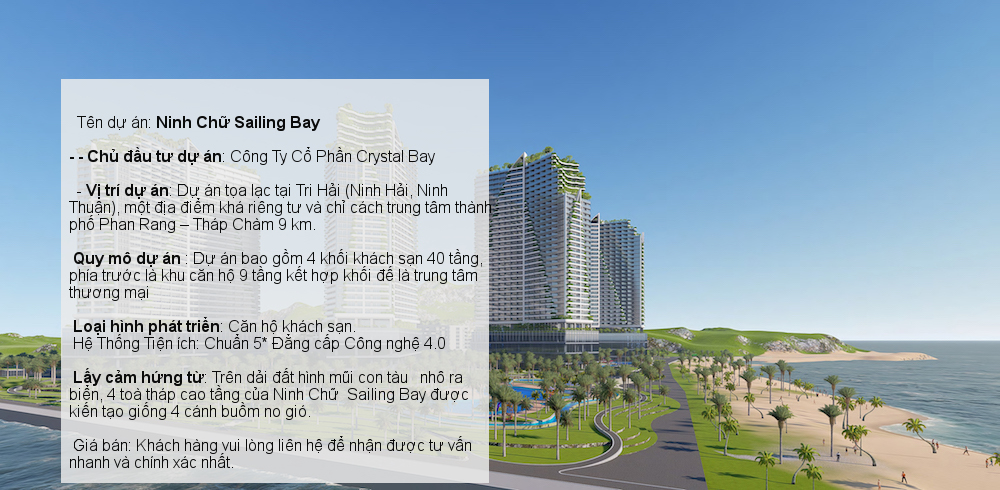 quy mo sailing bay ninh chu